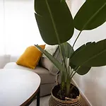 公寓 New - - - Universitaetsklinikum 奥格斯堡