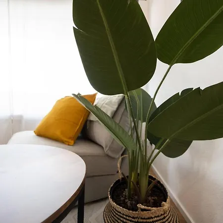 Appartamento New - - - Universitaetsklinikum Augusta